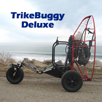 trike buggy for sale