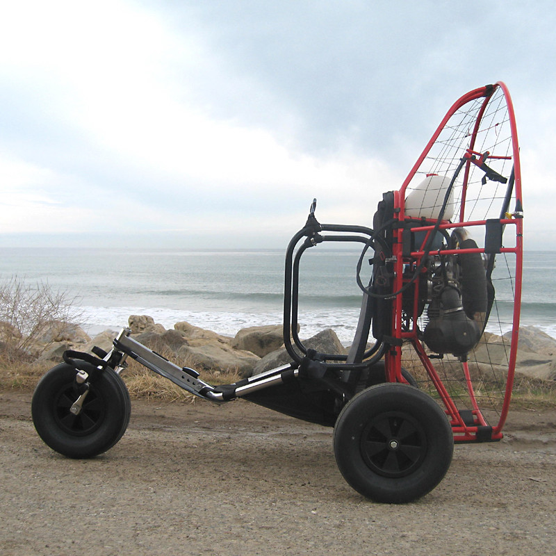 trike buggy for sale